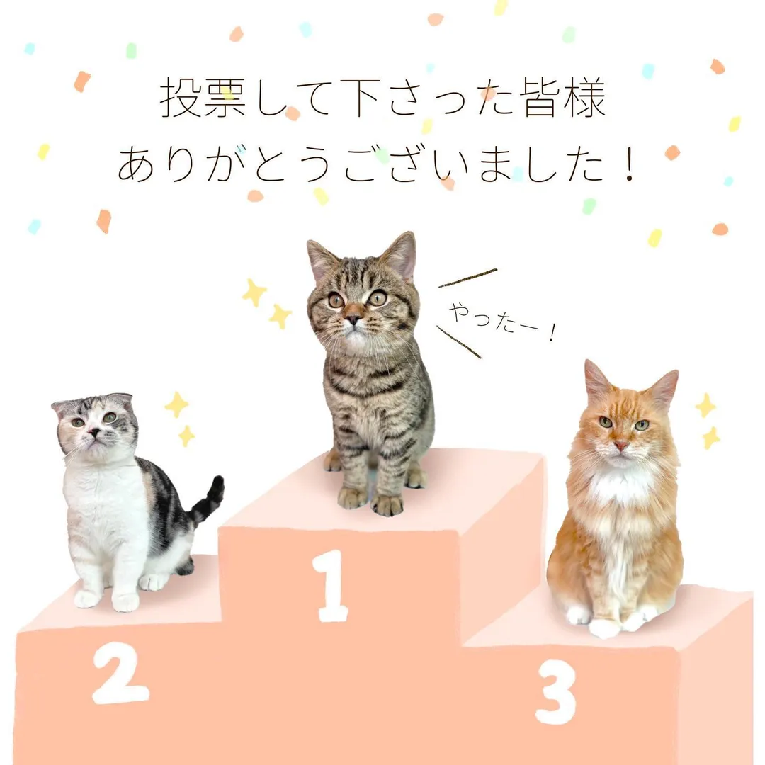 ๆ็จฟใฎๅ็