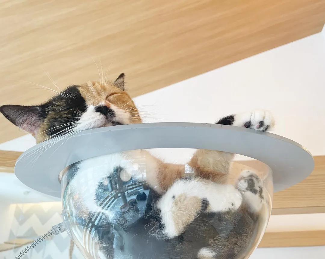 投稿の写真2