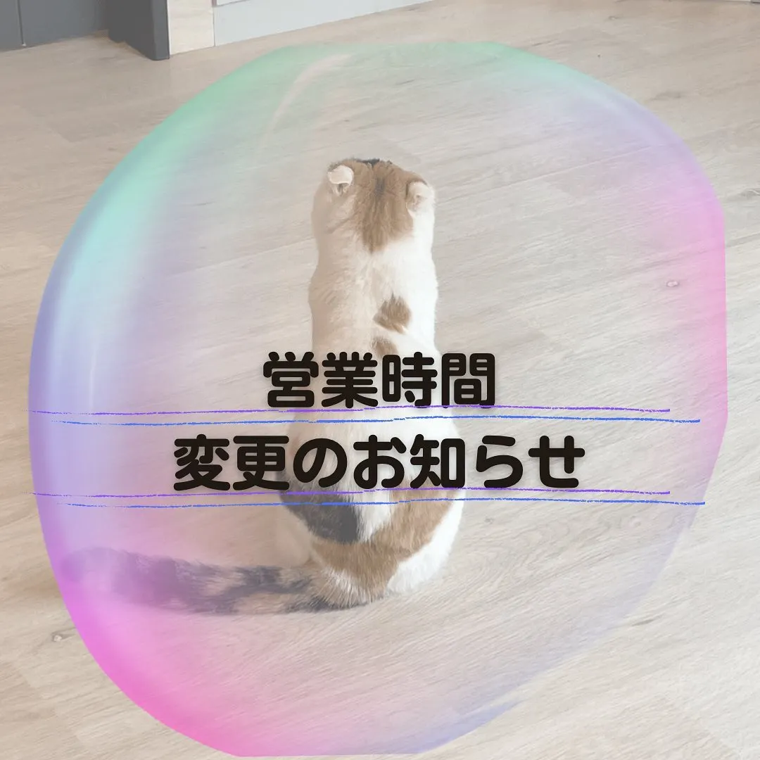 投稿の写真1