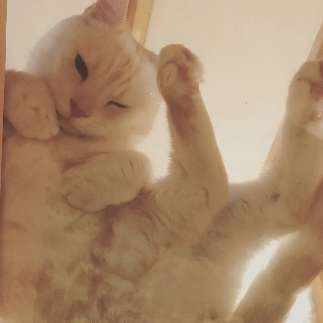 投稿の写真3