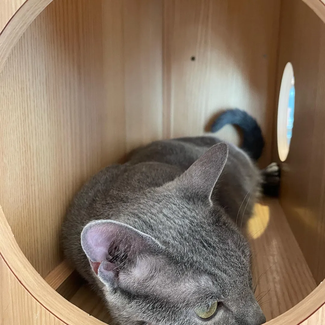 投稿の写真2
