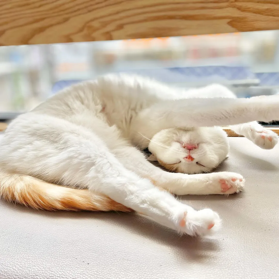 投稿の写真2