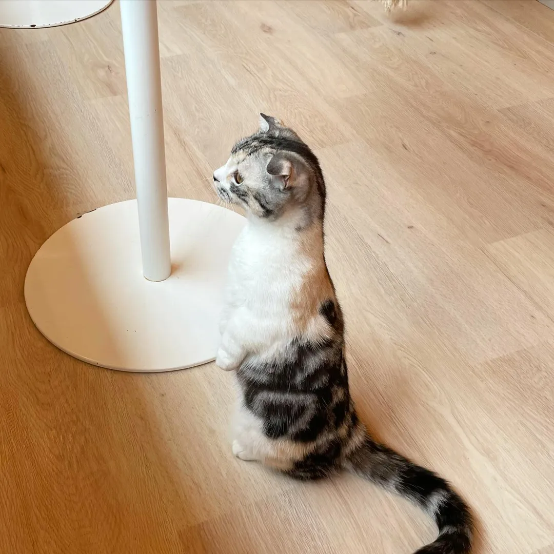 投稿の写真2