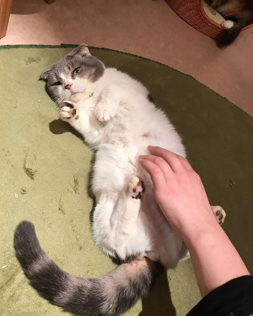 投稿の写真2