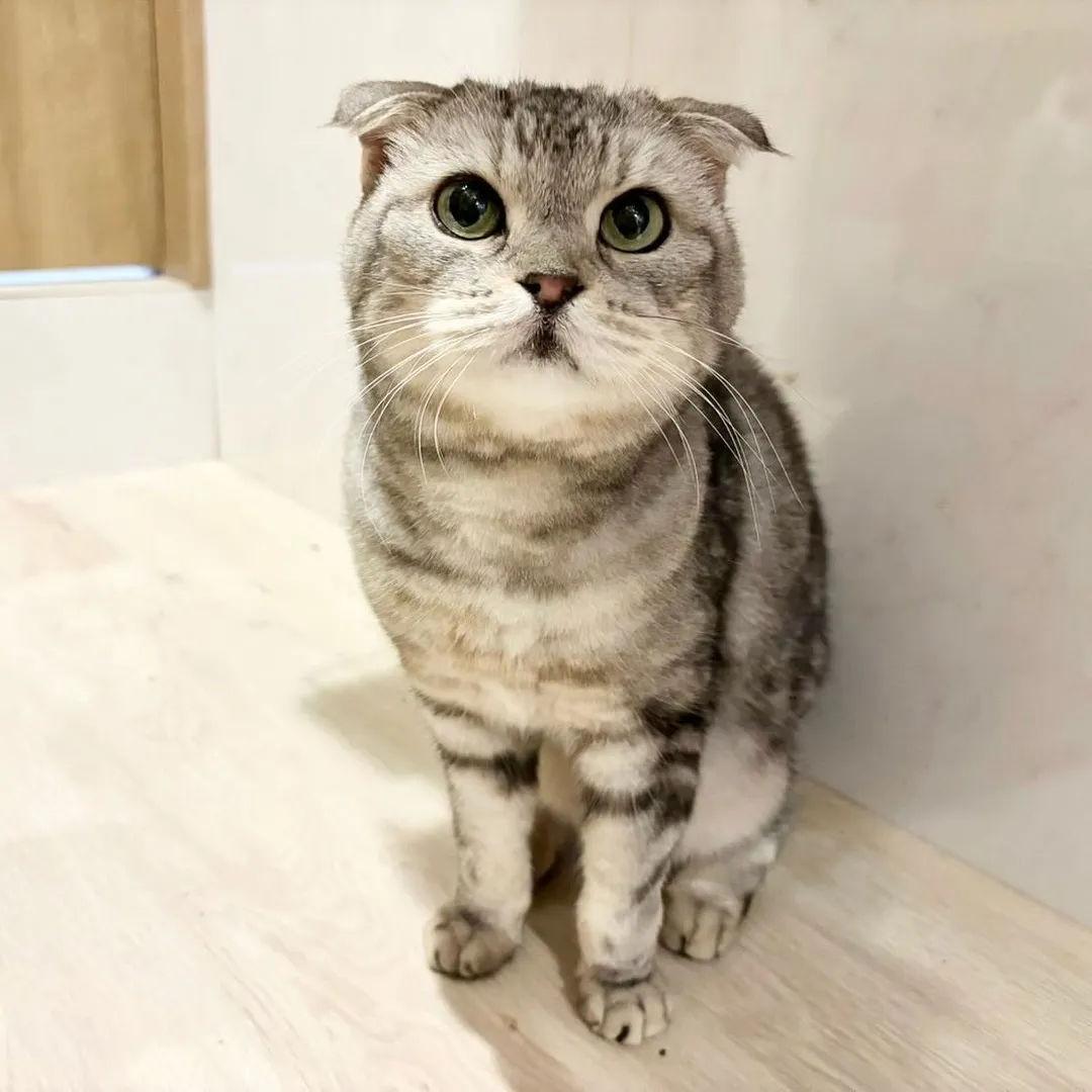 投稿の写真6