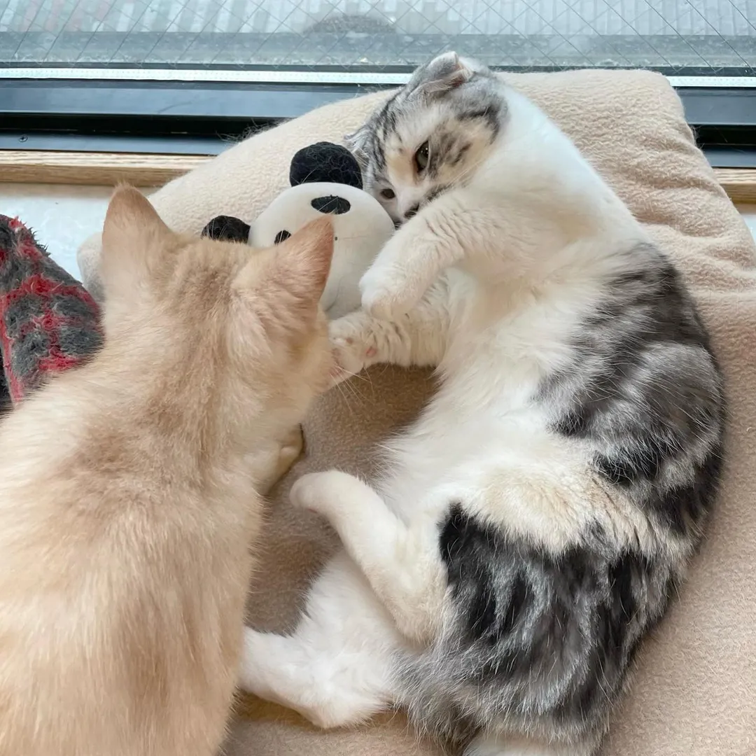 投稿の写真3