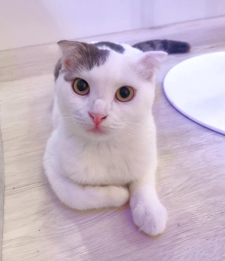 投稿の写真2