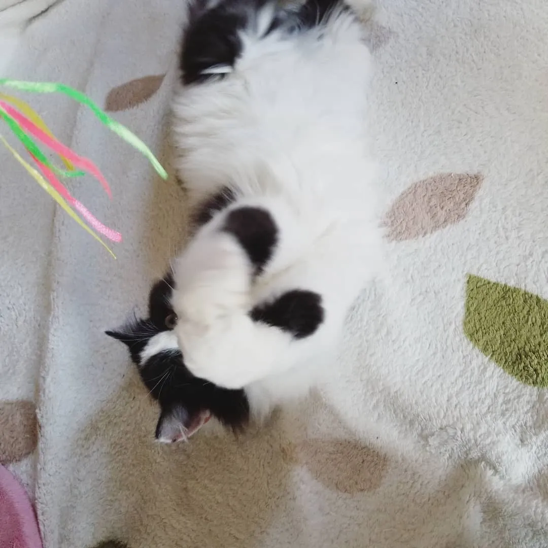 投稿の写真2