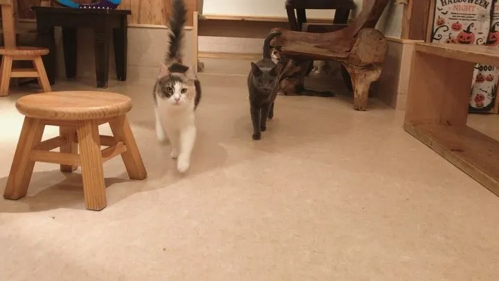 投稿の写真3
