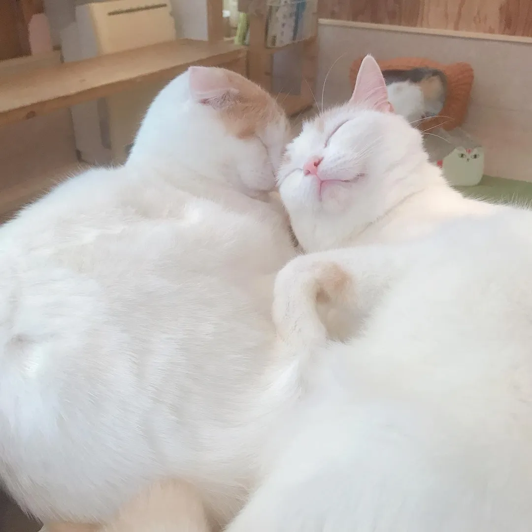 投稿の写真4