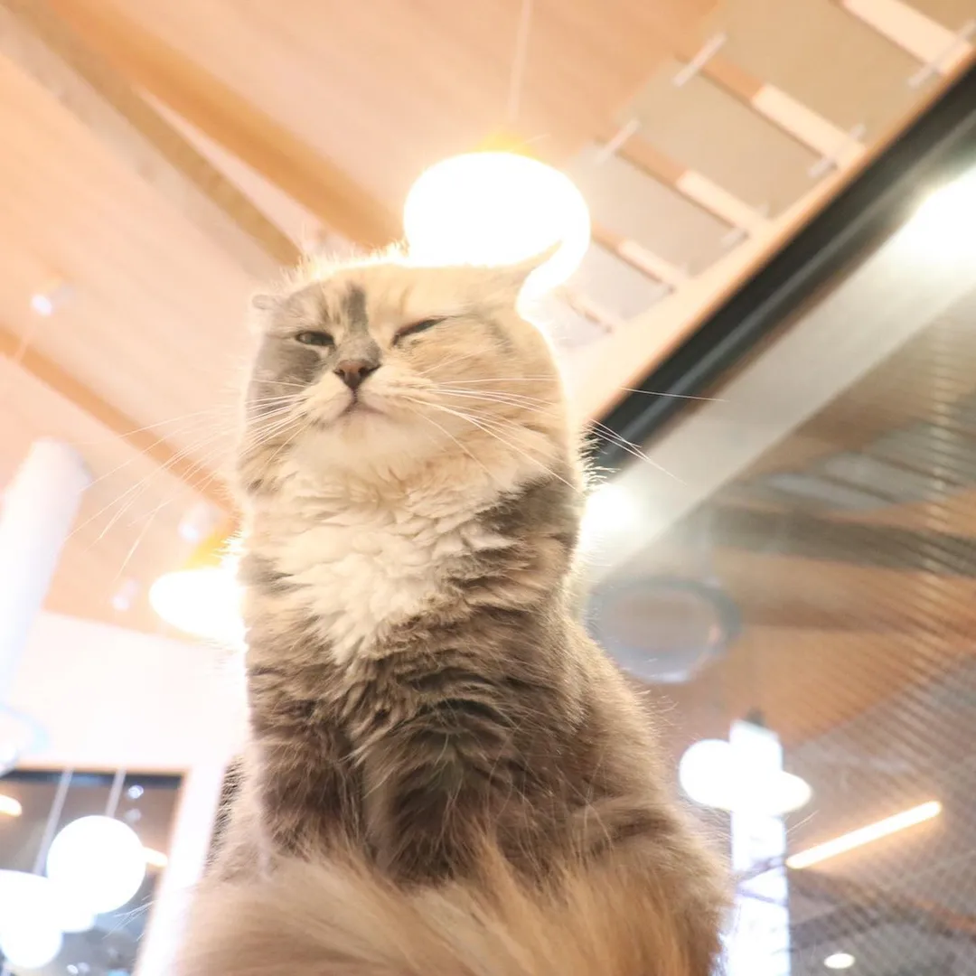 投稿の写真1