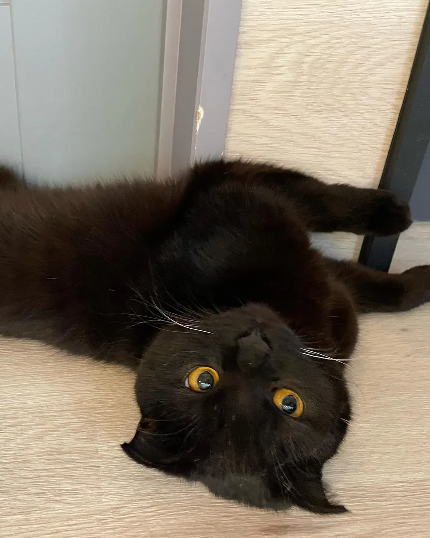 投稿の写真4