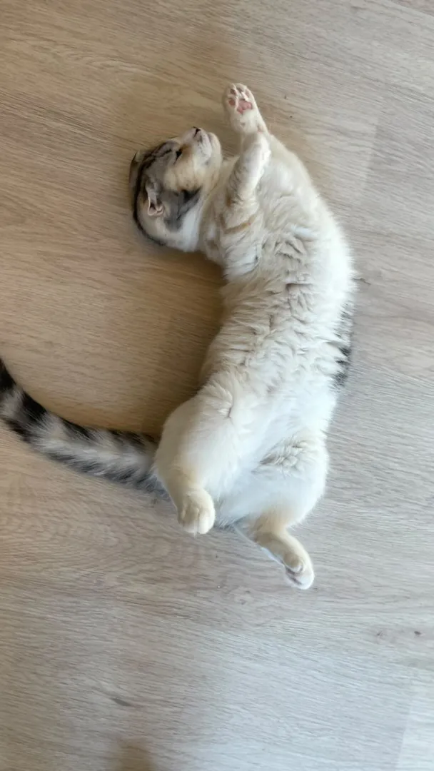 投稿の写真