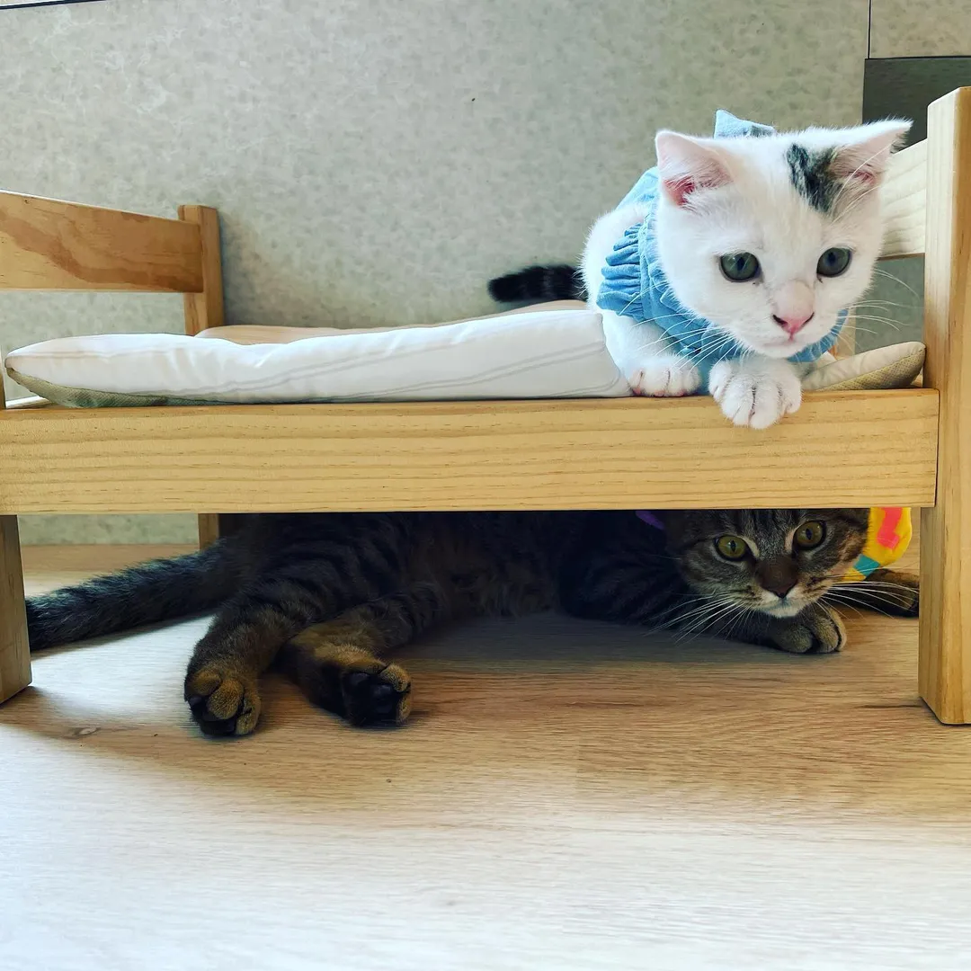 投稿の写真3