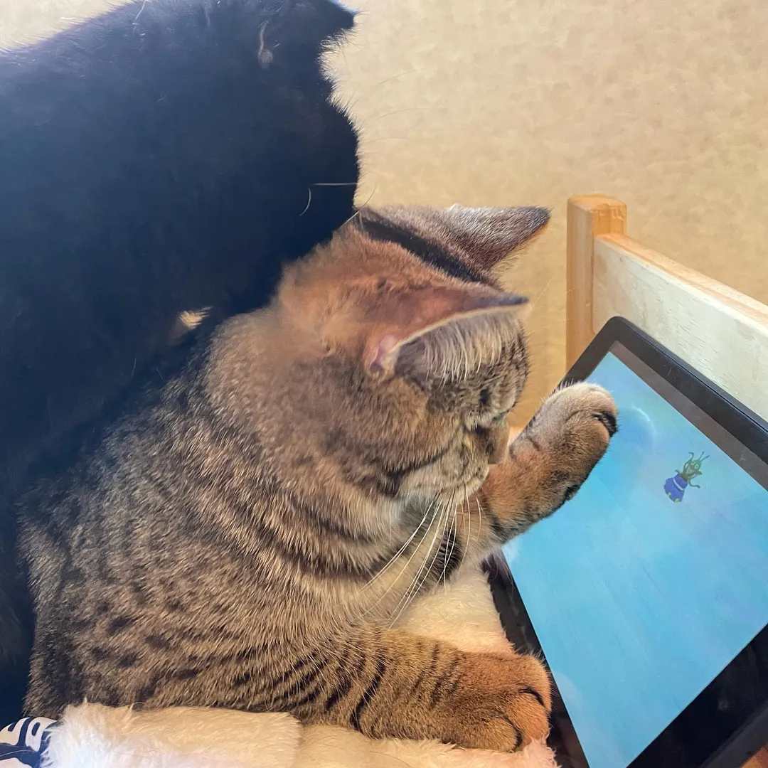 投稿の写真4