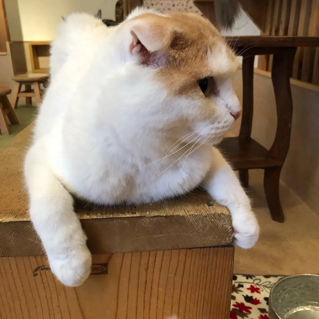 投稿の写真3