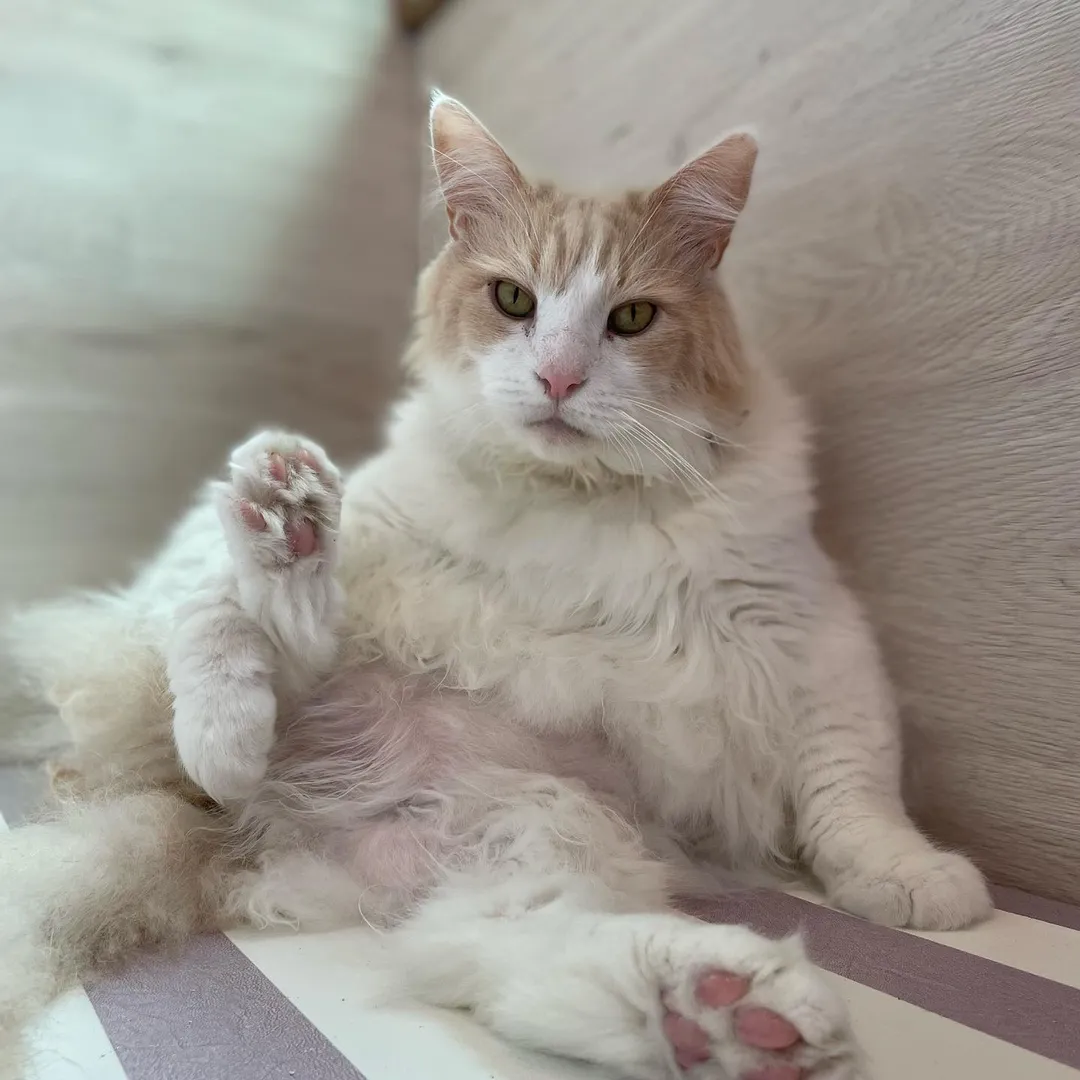 投稿の写真3