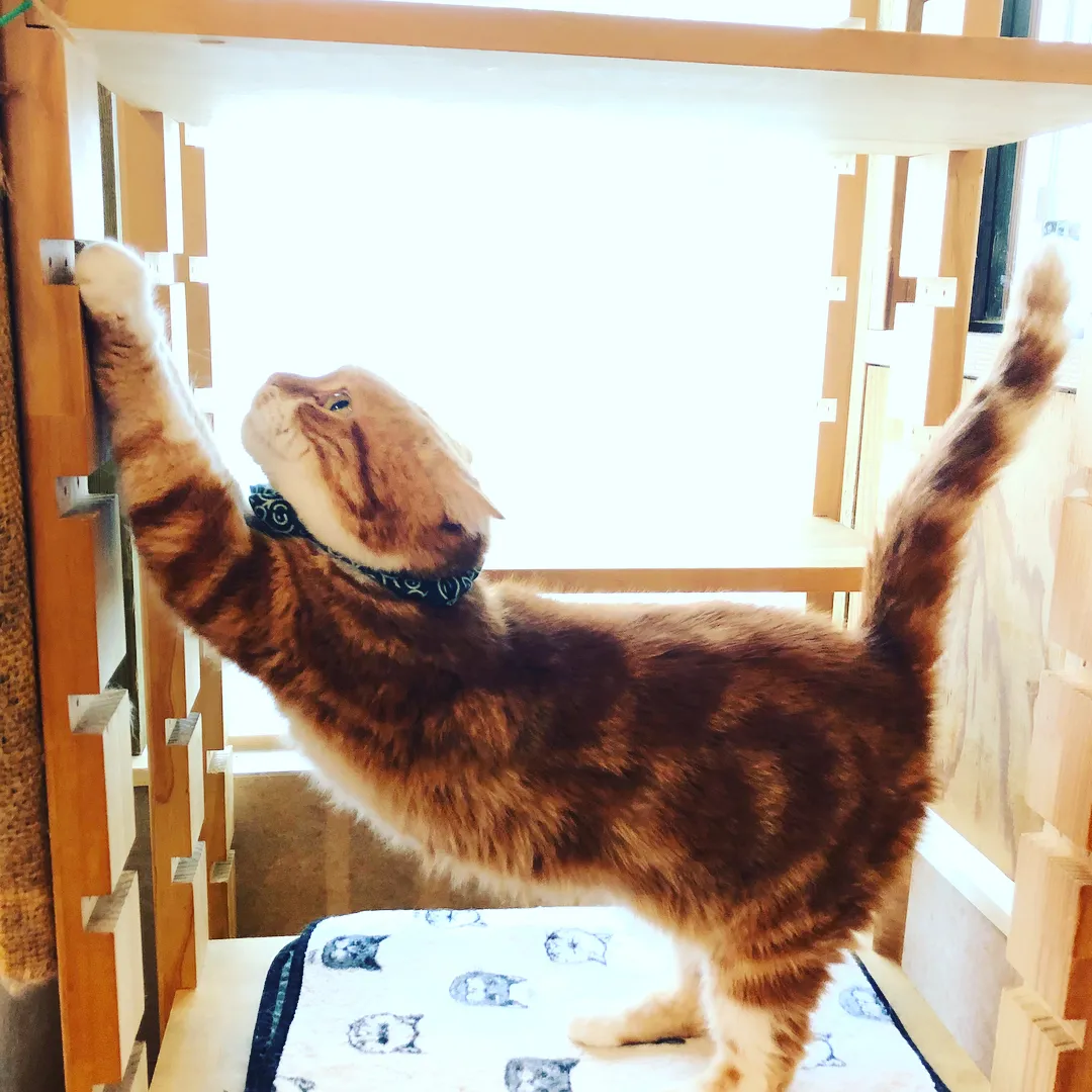投稿の写真2