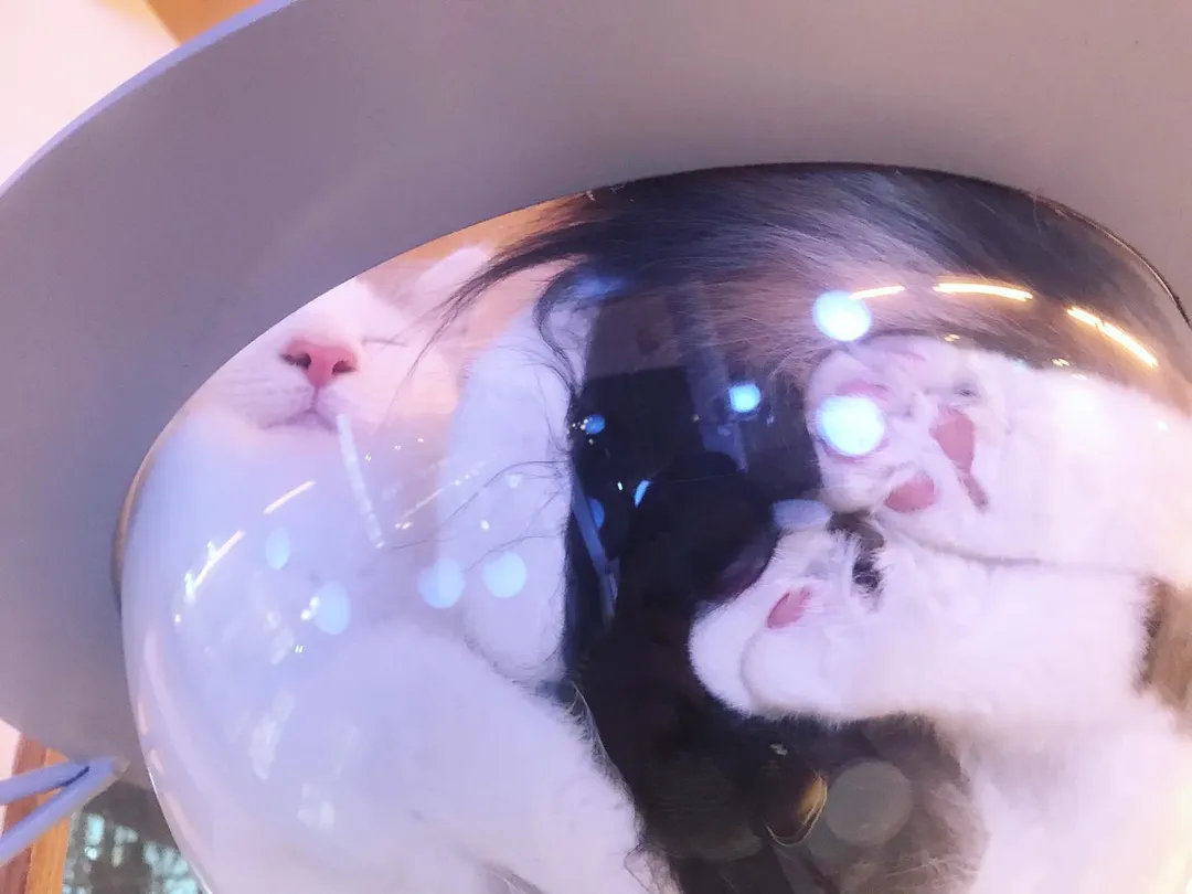 投稿の写真2