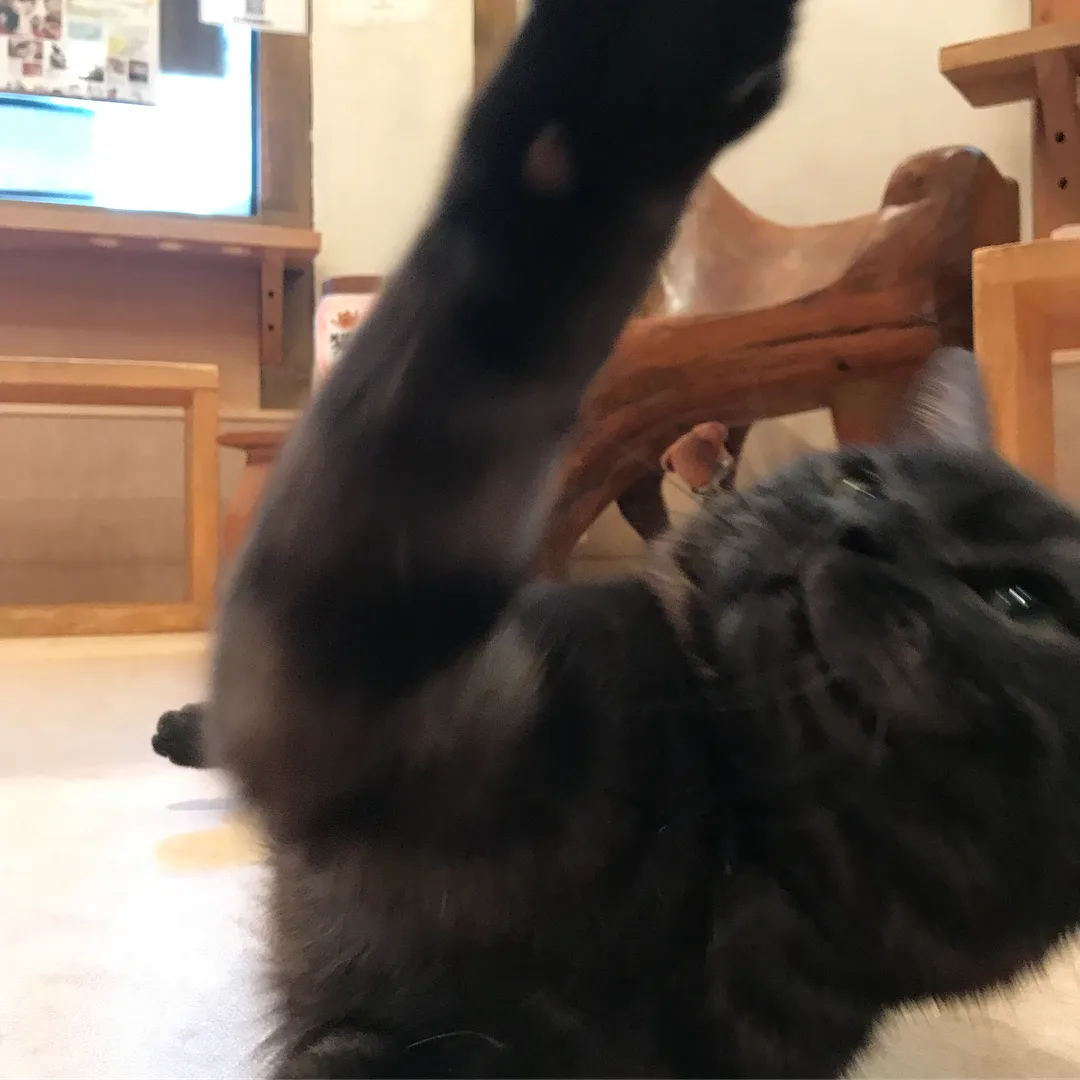 投稿の写真2