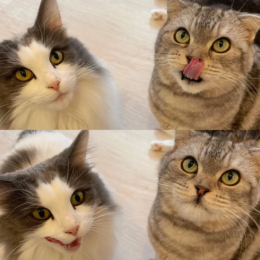 投稿の写真
