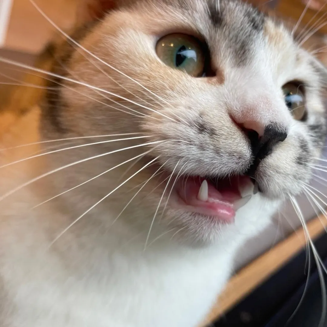 投稿の写真3