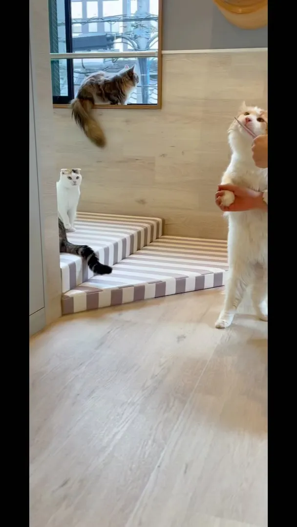 投稿の写真