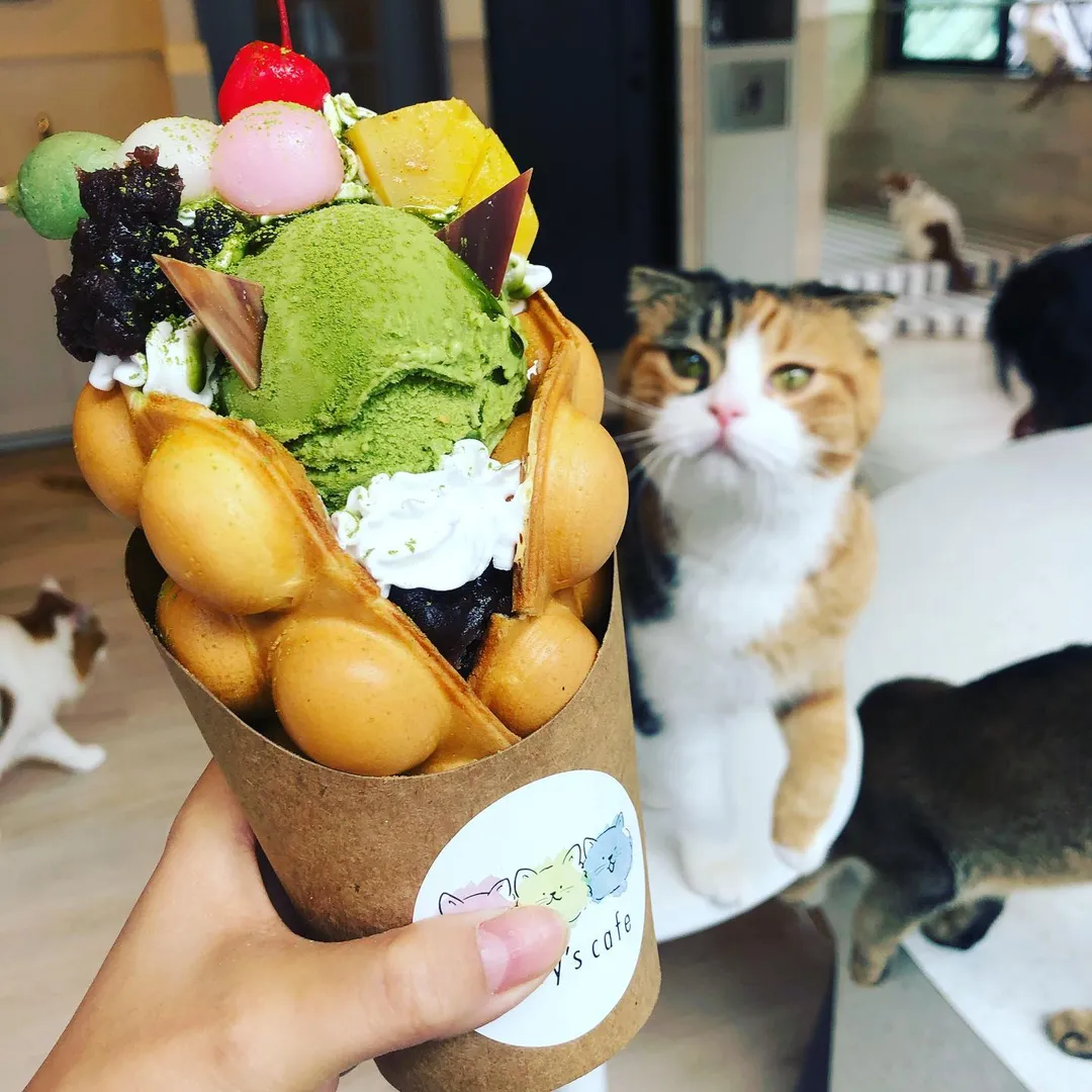 投稿の写真2
