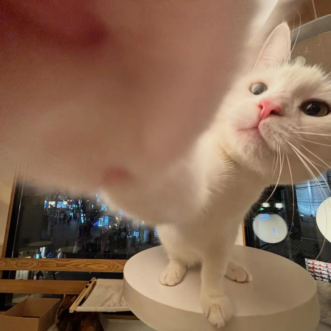 投稿の写真2