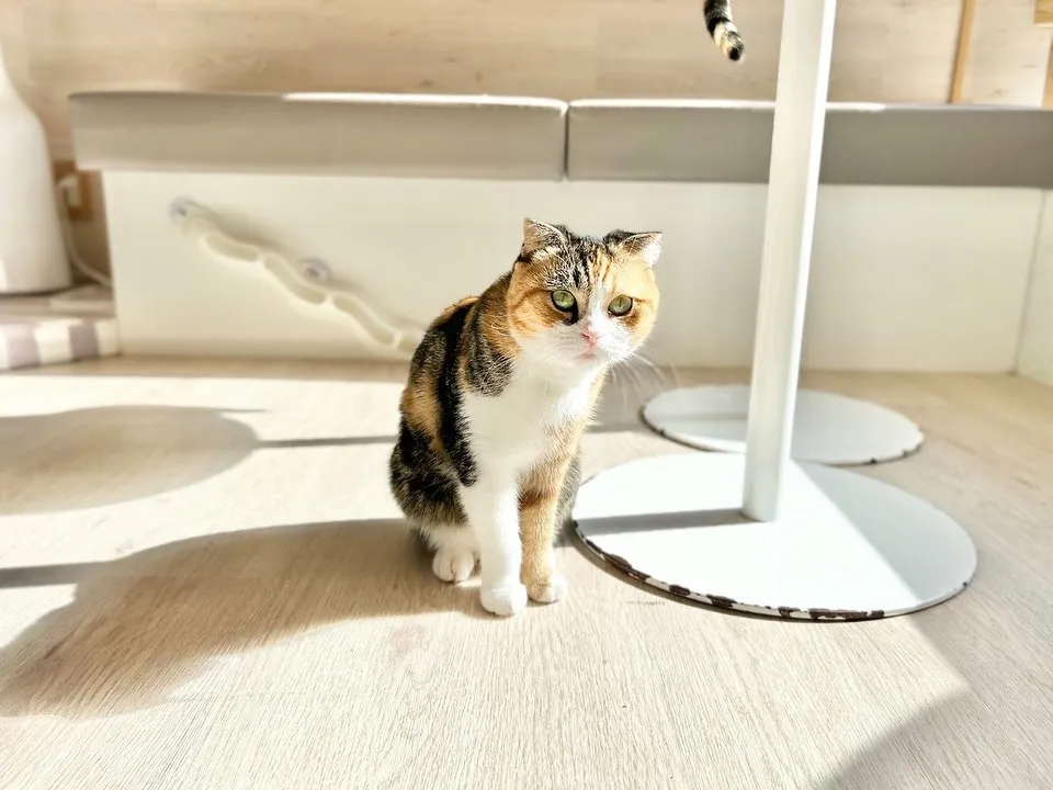 投稿の写真2
