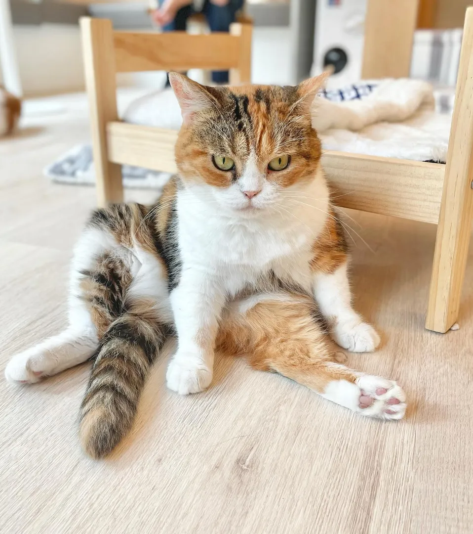 投稿の写真6