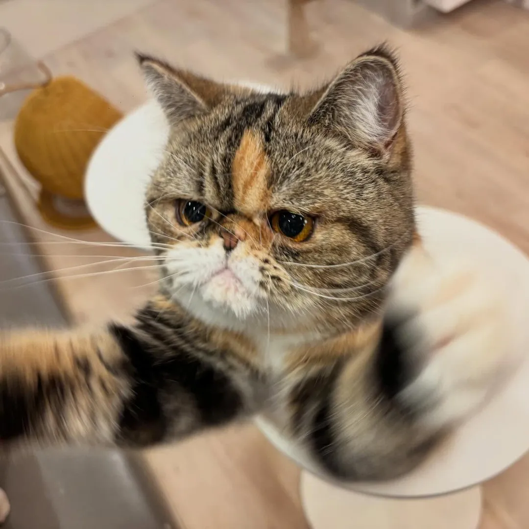 投稿の写真3