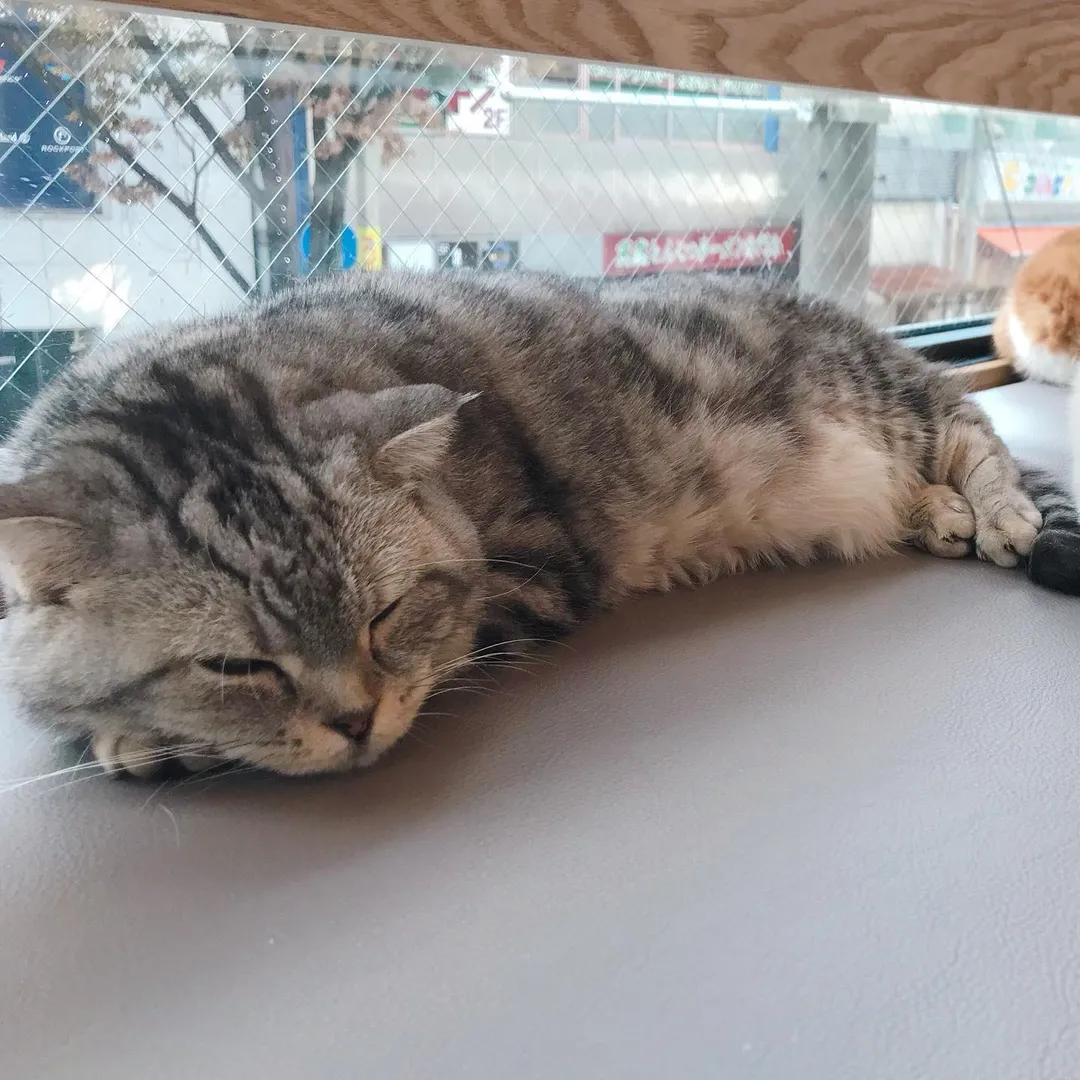 投稿の写真2