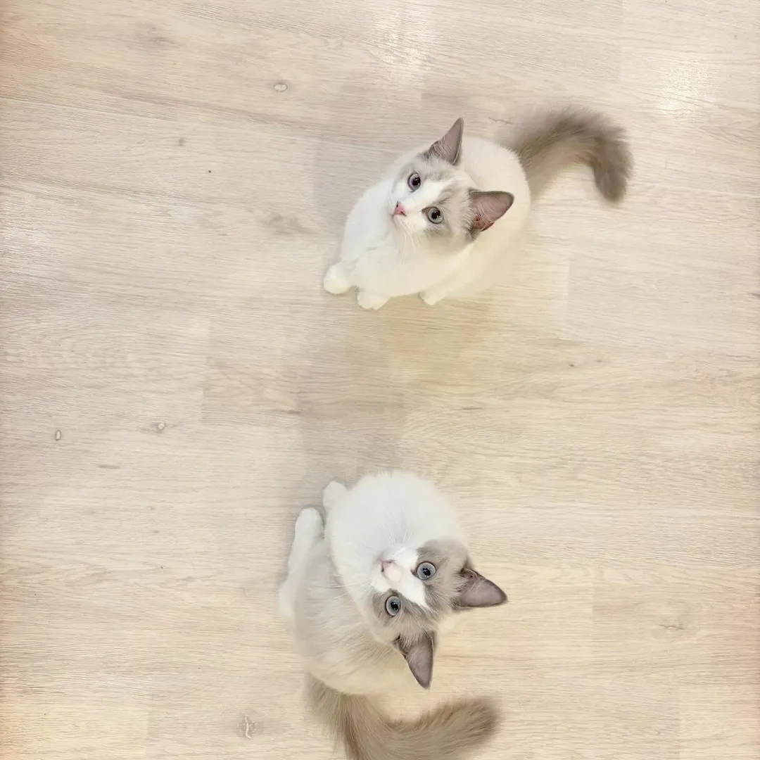 投稿の写真2