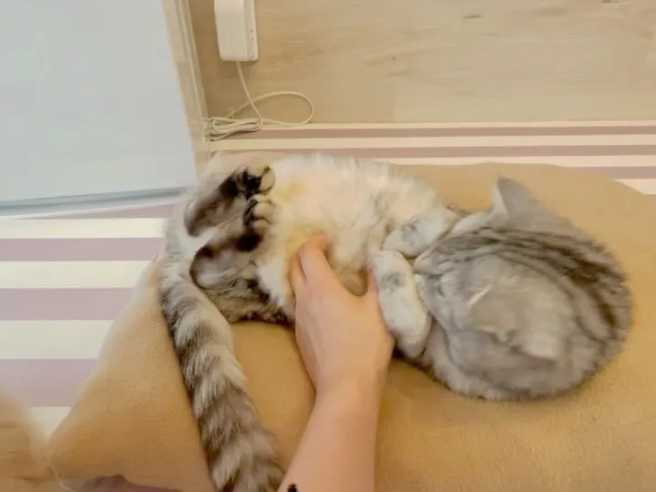投稿の写真5