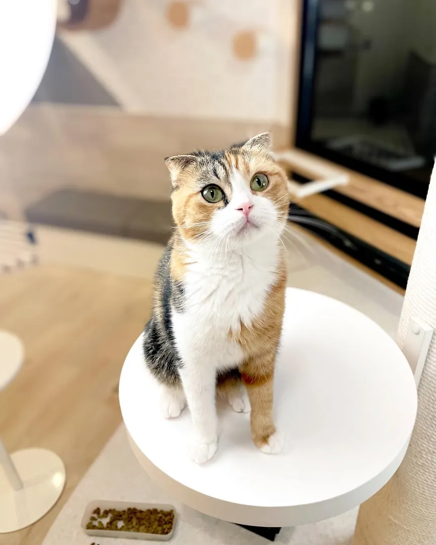 投稿の写真1