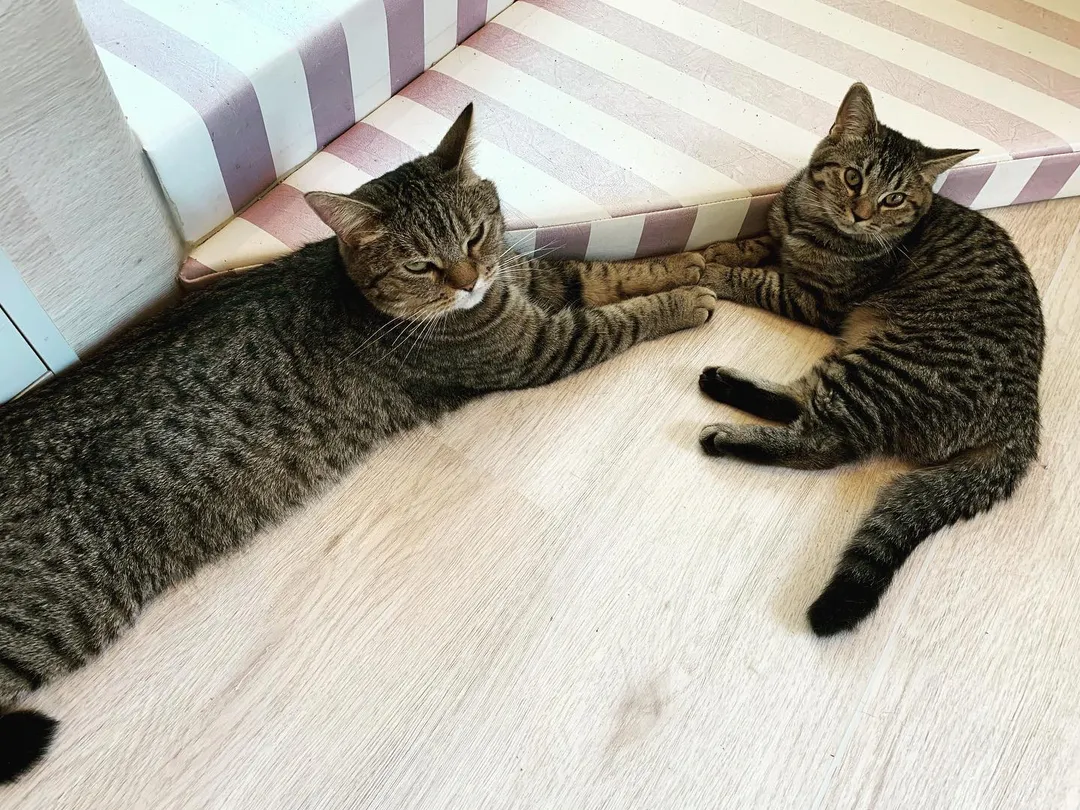 投稿の写真3