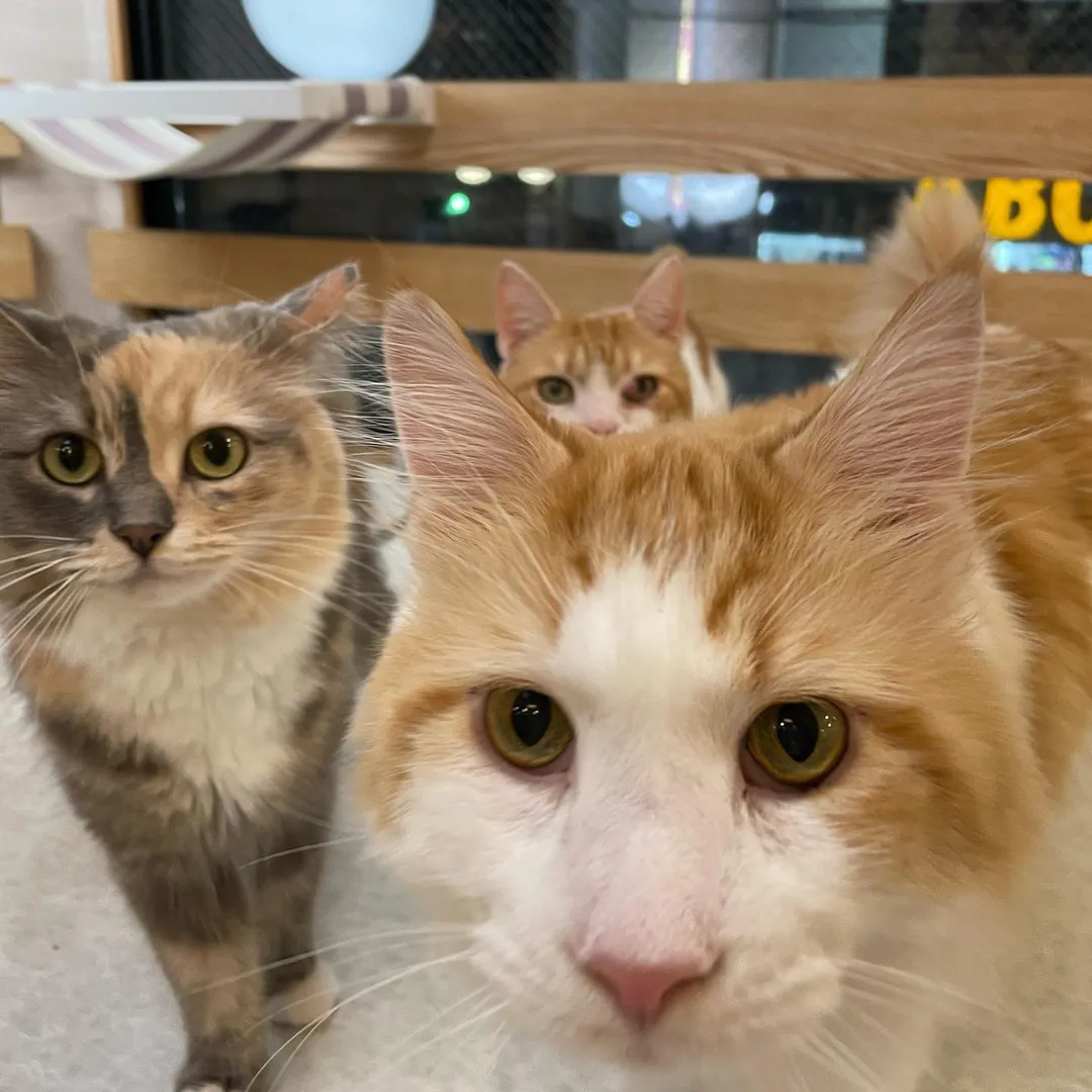 投稿の写真2