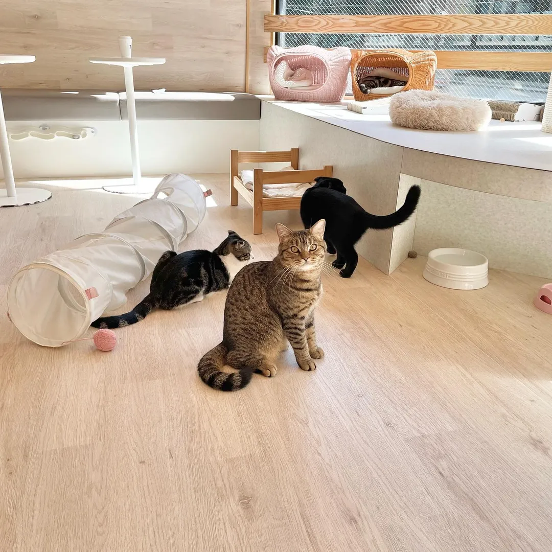 投稿の写真6