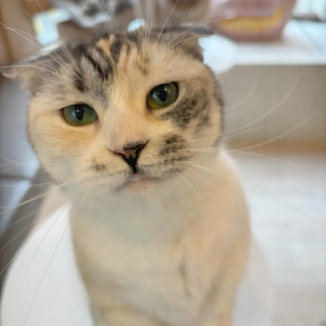 投稿の写真2
