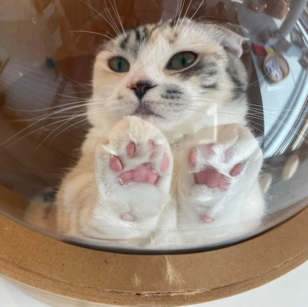 投稿の写真8