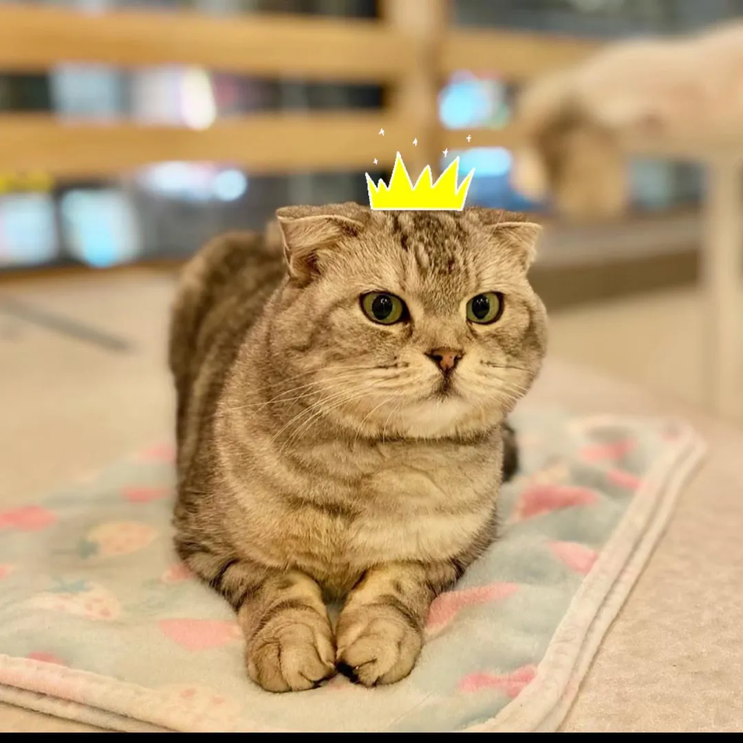 投稿の写真1