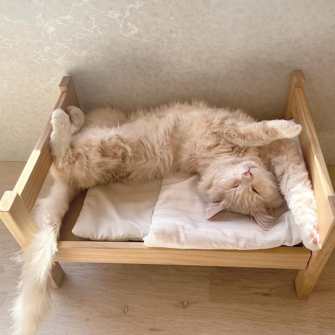 投稿の写真4