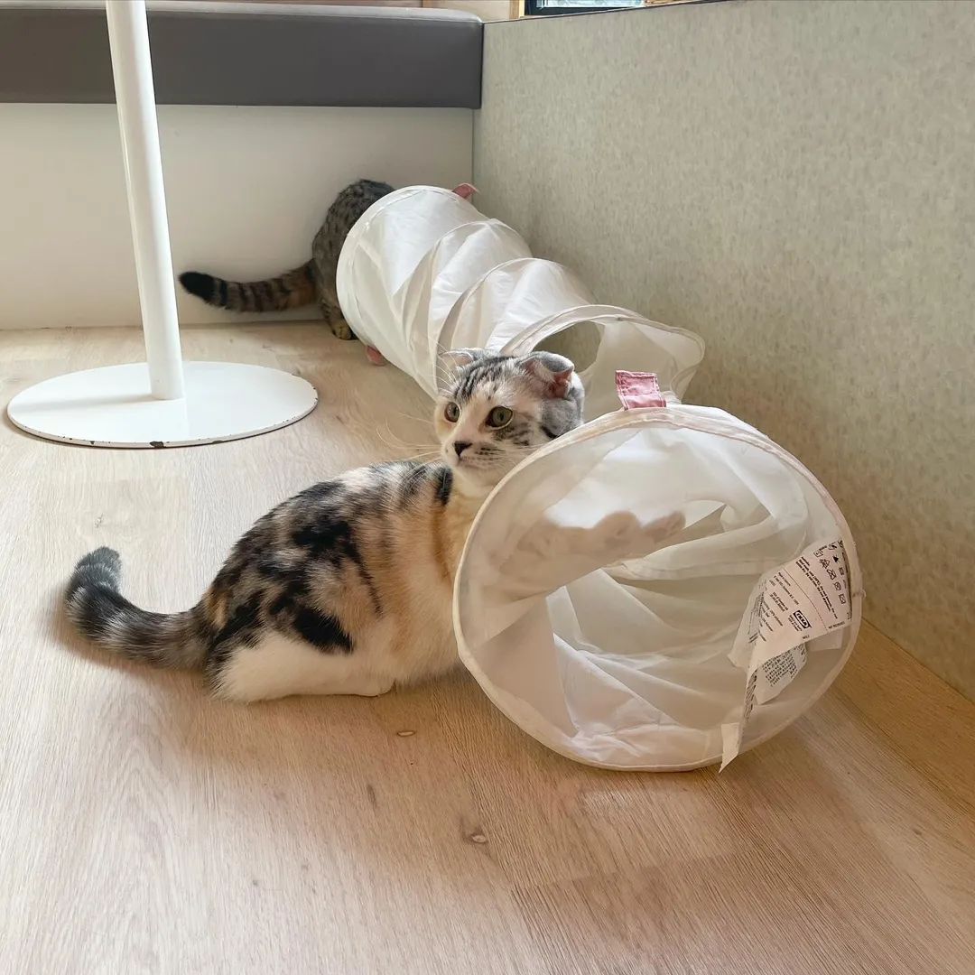 投稿の写真