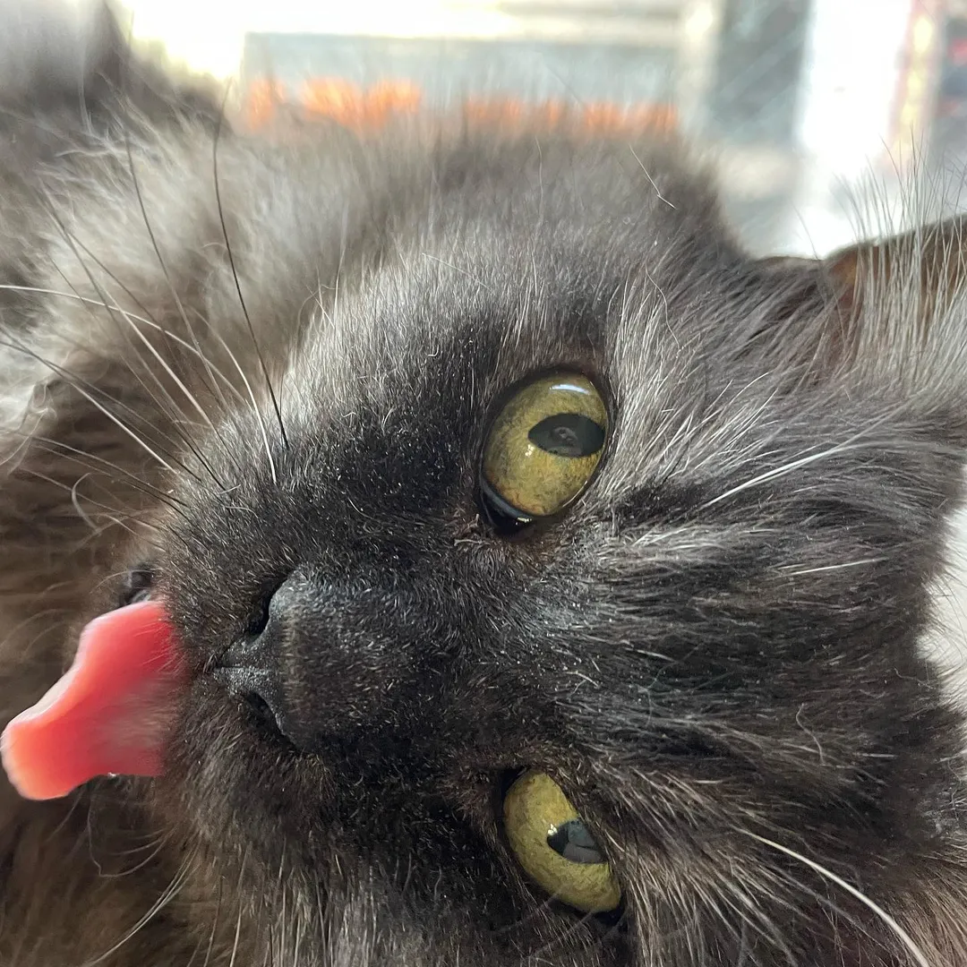 投稿の写真2