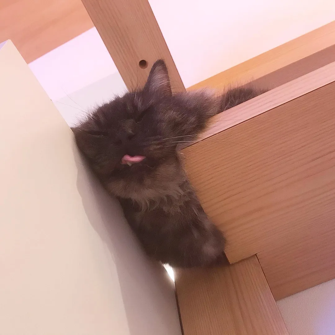 投稿の写真3