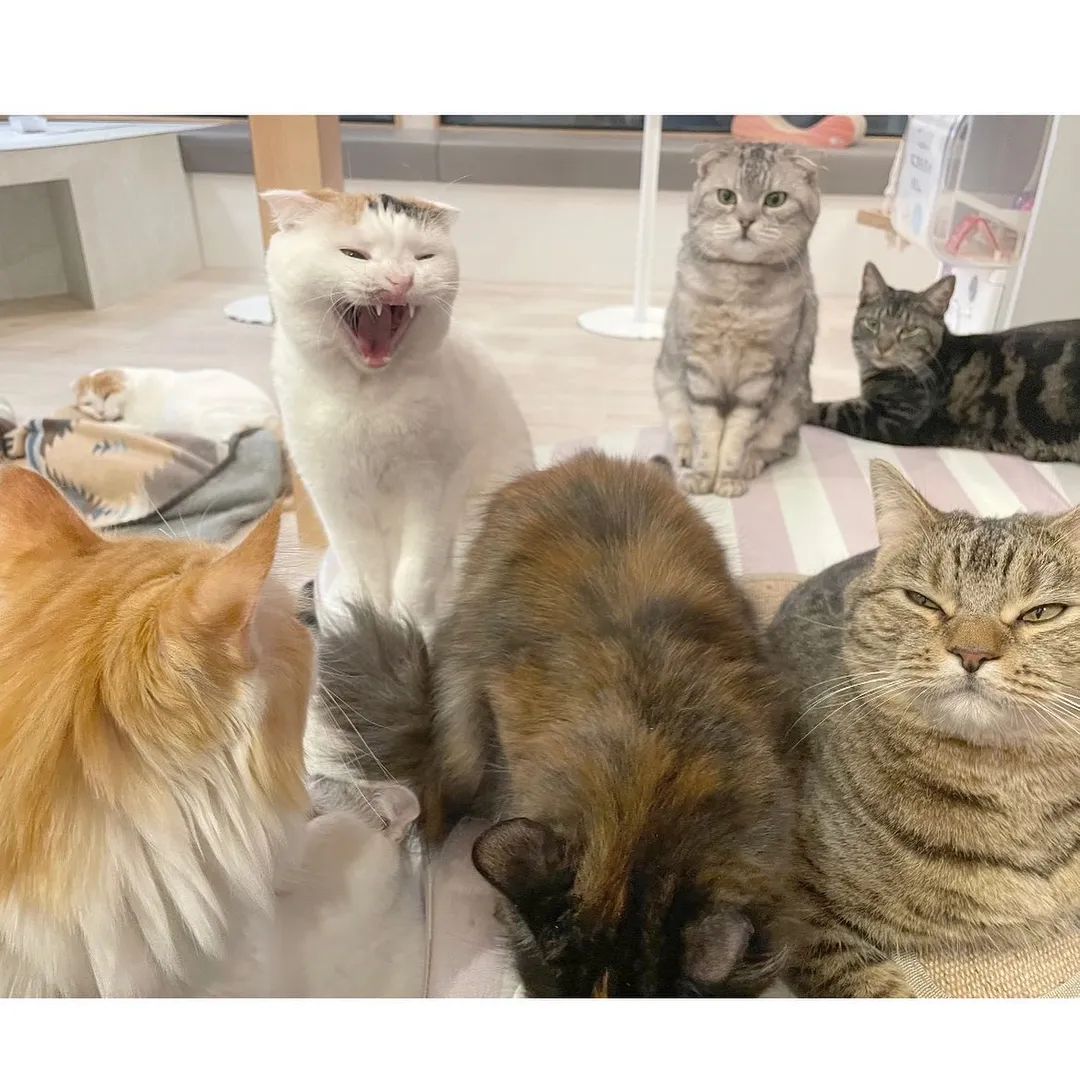 投稿の写真4