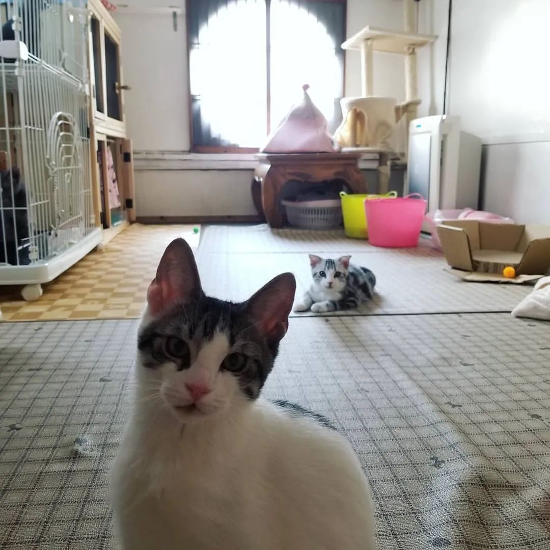 投稿の写真5
