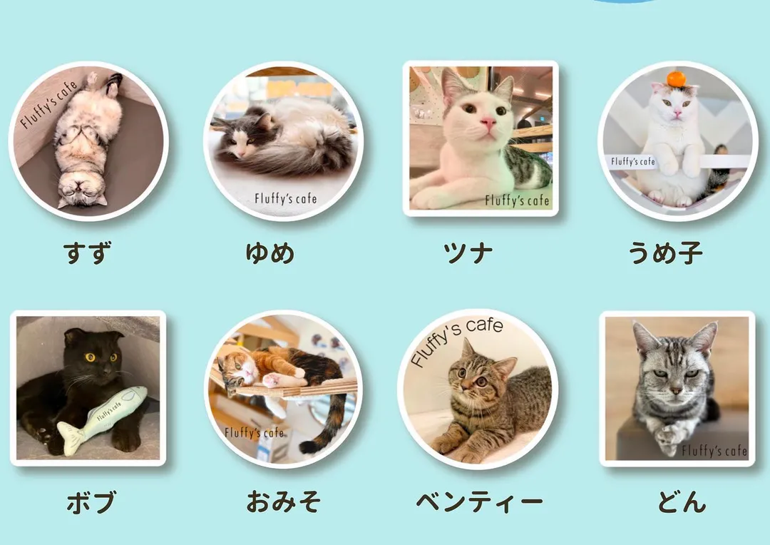 投稿の写真2