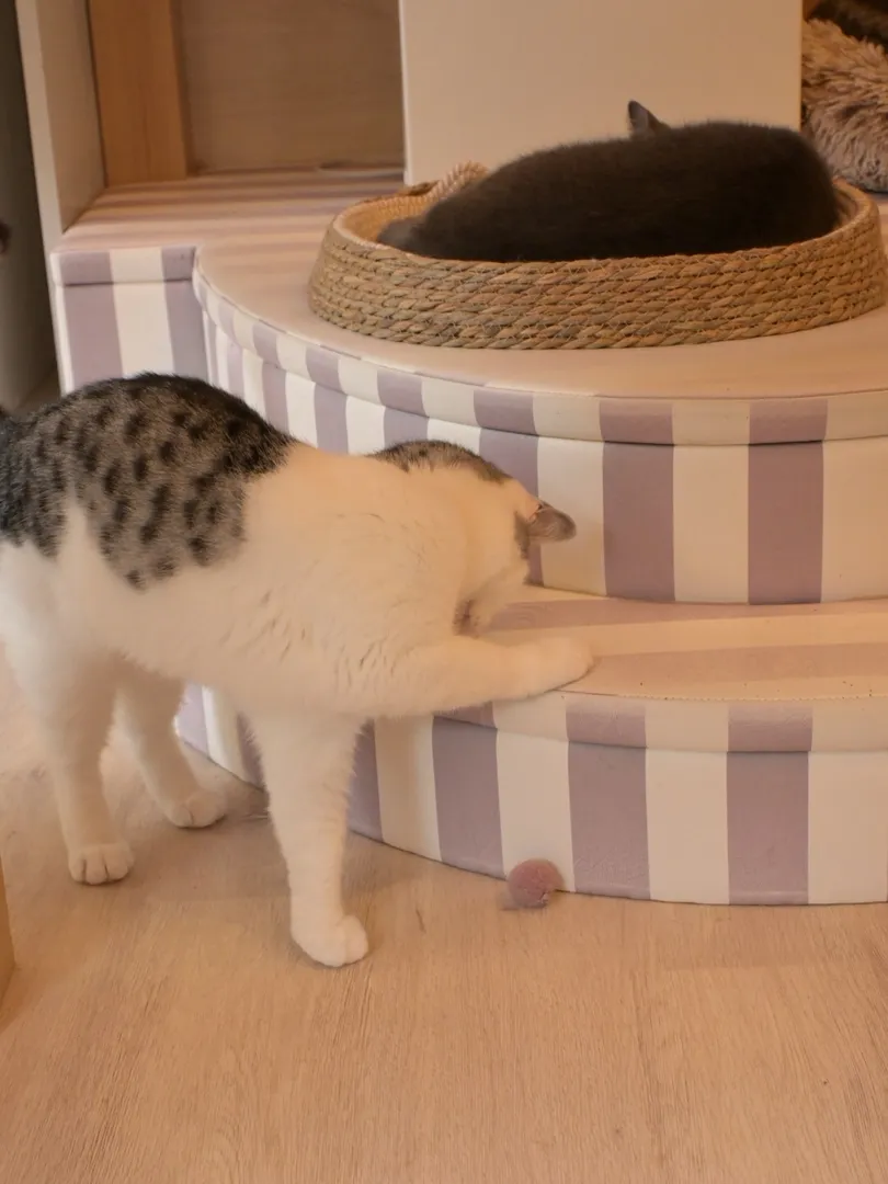 投稿の写真3